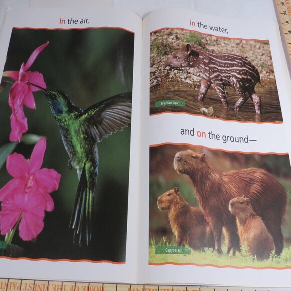 Up, Down, All Around BIG BOOK (almost 2 feet tall) with teacher pages CLASSROOM - Picture 7 of 14